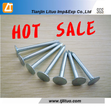 Electro Galvanized Q195 Clout Nail / Roofing Nails